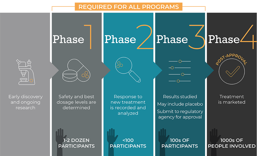 The four phases of clinical trials (infographic)